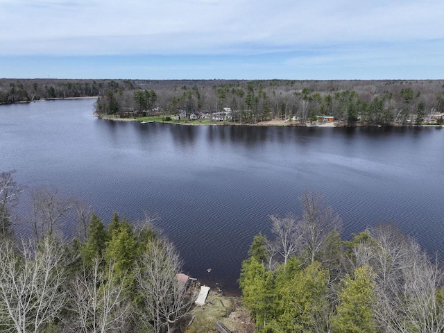 6258 Ninebark Rd, Abrams, WI 54153 - water view with a forest