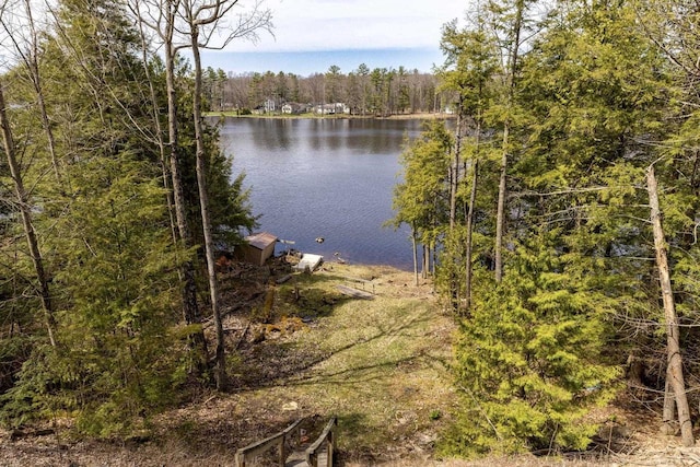 6258 Ninebark Rd, Abrams, WI 54153 - water view featuring a forest and a boat dock