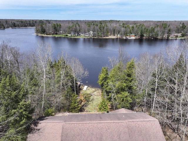 6258 Ninebark Rd, Abrams, WI 54153 - water view with a heavily wooded area