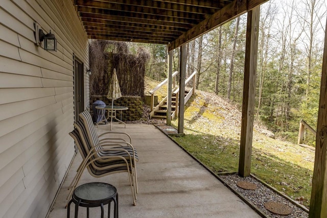 6258 Ninebark Rd, Abrams, WI 54153 - view of patio with stairway