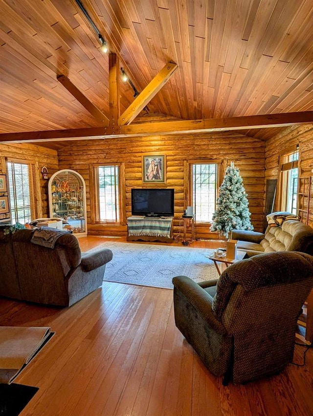 W2470 County Road B, Montello, WI 53949 - living room with wooden ceiling with exposed beams, rustic walls, wood-type flooring, plenty of natural light, and track lighting