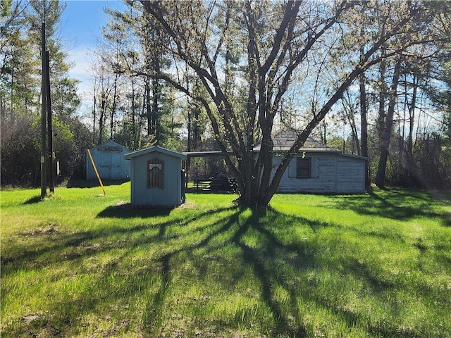 view of yard featuring an outdoor structure and a storage unit