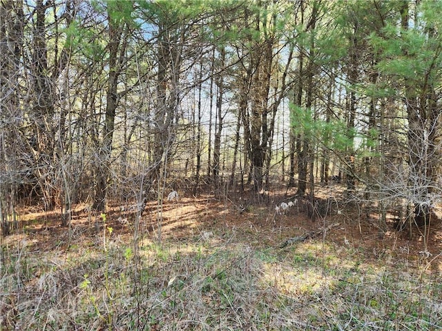 view of nature