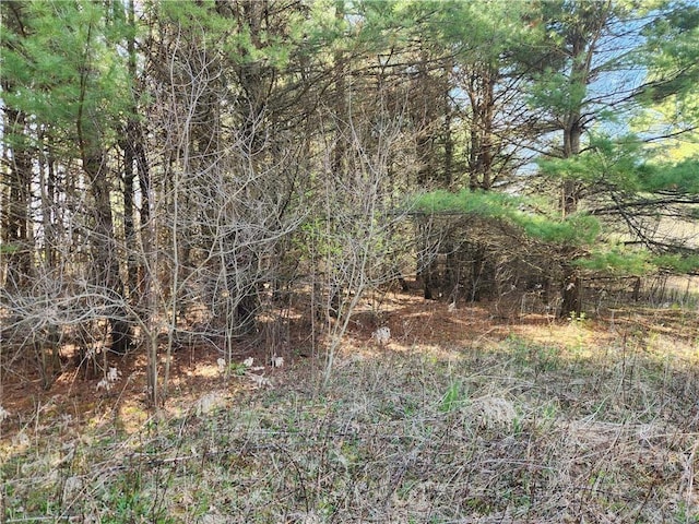 view of nature