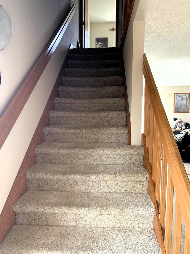 staircase featuring carpet floors
