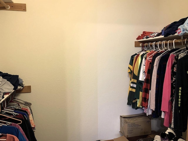 view of spacious closet