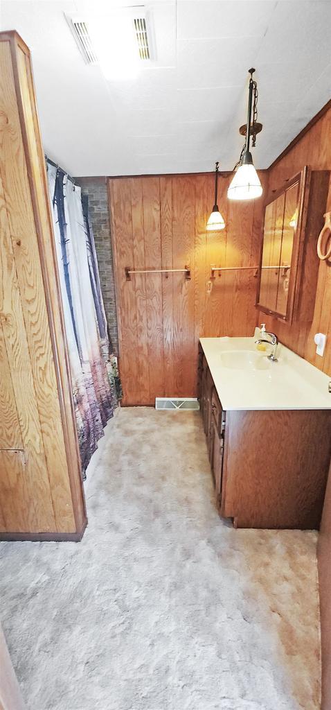 N7120 Sullivan Ln, New Lisbon, WI 53950 - full bathroom with wooden walls, vanity, and a shower with curtain