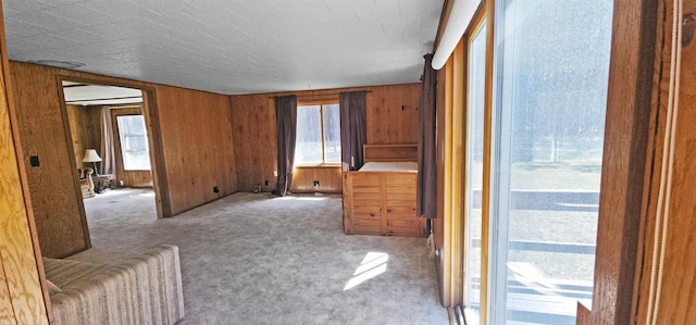 N7120 Sullivan Ln, New Lisbon, WI 53950 - unfurnished living room featuring carpet, wooden walls, and healthy amount of natural light