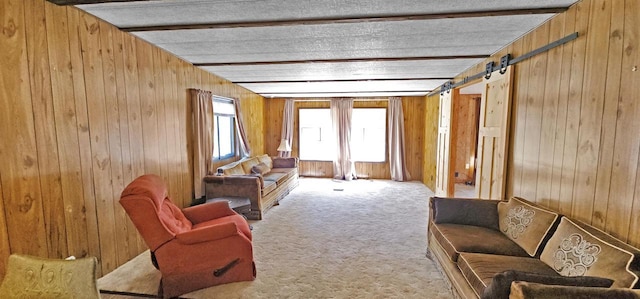 N7120 Sullivan Ln, New Lisbon, WI 53950 - carpeted living area with wood walls