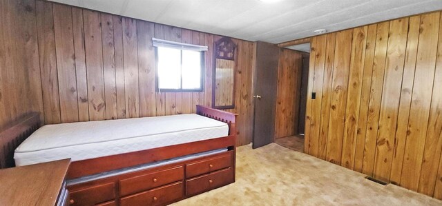 N7120 Sullivan Ln, New Lisbon, WI 53950 - bedroom with carpet floors and wood walls