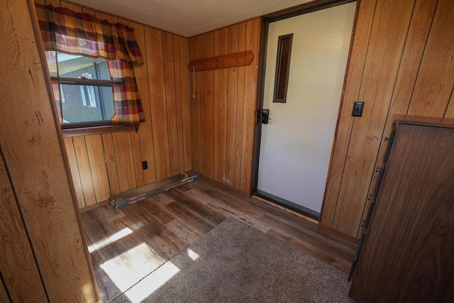 N7120 Sullivan Ln, New Lisbon, WI 53950 - unfurnished room featuring wood finished floors, wooden walls, and baseboards