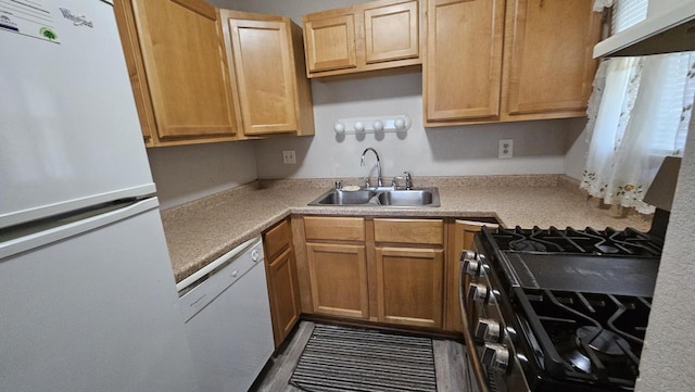 kitchen with a sink, white appliances, under cabinet range hood, and light countertops