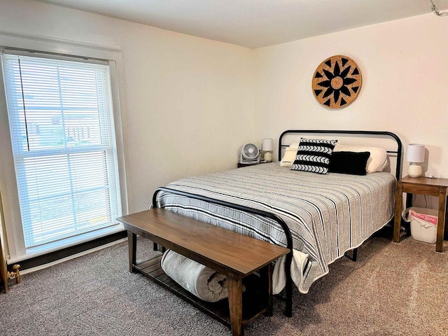 201 S Beaumont Rd, Prairie Du Chien, WI 53821 - carpeted bedroom featuring multiple windows
