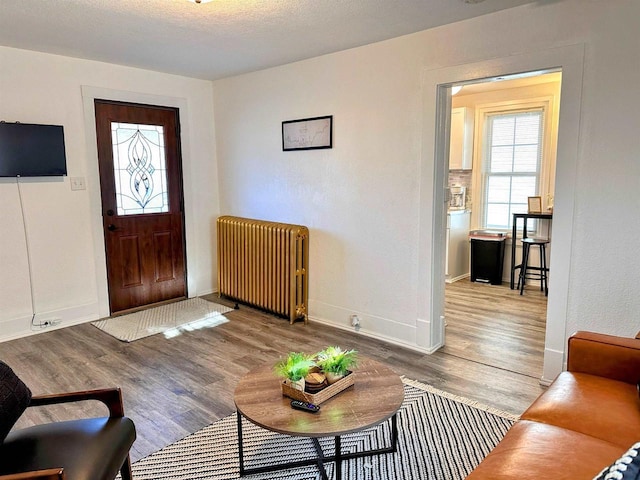 201 S Beaumont Rd, Prairie Du Chien, WI 53821 - entrance foyer featuring wood finished floors, baseboards, and radiator heating unit