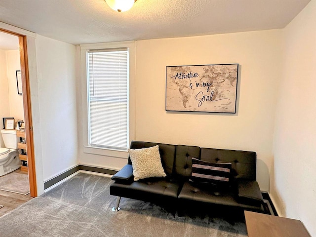 201 S Beaumont Rd, Prairie Du Chien, WI 53821 - living area with carpet flooring, plenty of natural light, baseboards, and a textured ceiling