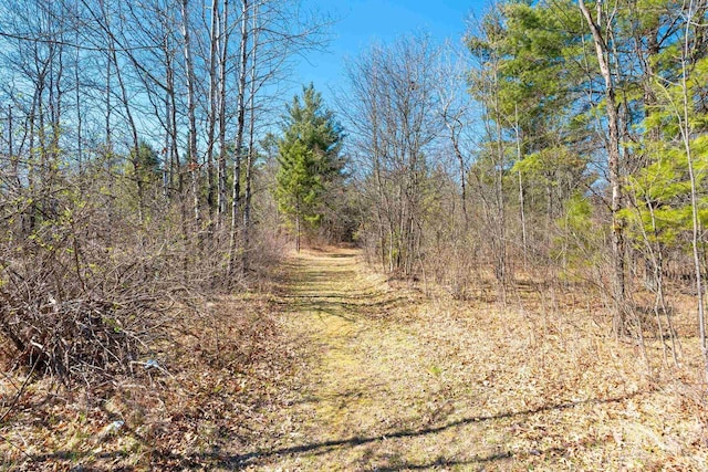 W7730 County Road Z, Pembine, WI 54156 - view of local wilderness