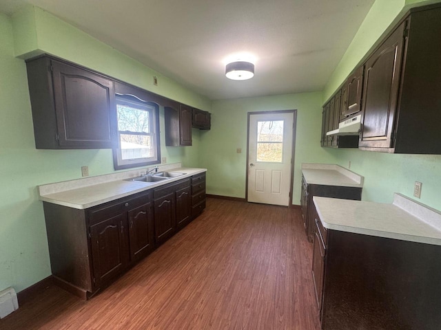 111 Grahl Ave, Eden, WI 53019 - kitchen featuring under cabinet range hood, dark brown cabinets, wood finished floors, and a sink