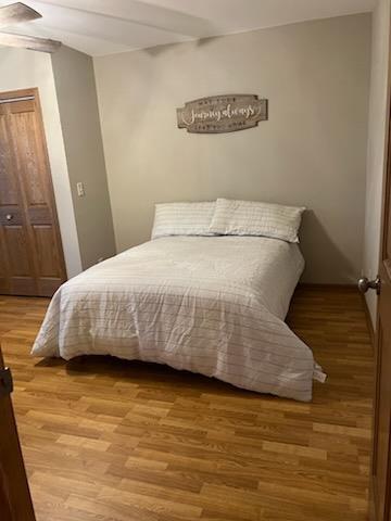 1075 Grant St, Fennimore, WI 53809 - bedroom featuring light wood finished floors