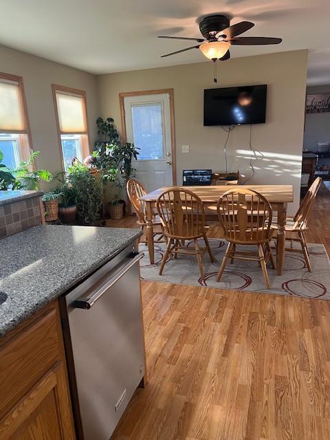 1075 Grant St, Fennimore, WI 53809 - dining space featuring light wood-type flooring, healthy amount of natural light, and a ceiling fan