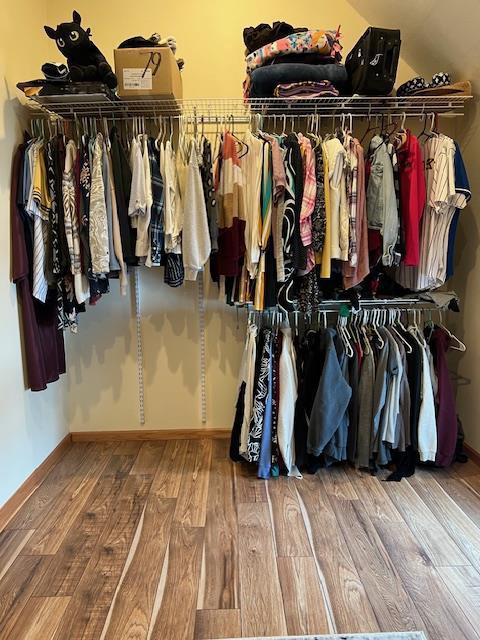 1075 Grant St, Fennimore, WI 53809 - walk in closet featuring wood finished floors and vaulted ceiling