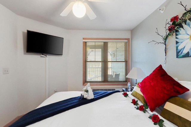 123 Center St Unit 301, Lake Geneva, WI 53147 - bedroom with ceiling fan