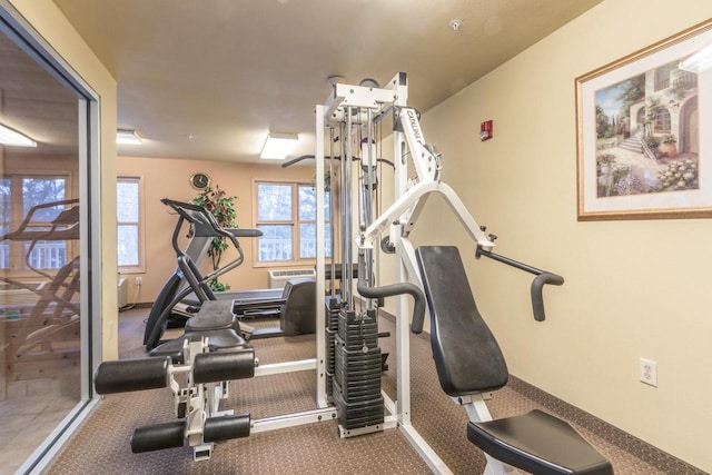 123 Center St Unit 301, Lake Geneva, WI 53147 - exercise area featuring carpet flooring