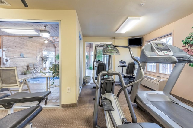 123 Center St Unit 301, Lake Geneva, WI 53147 - workout area with carpet and visible vents