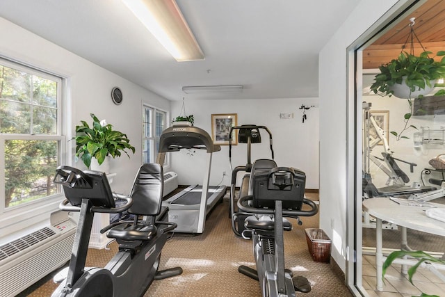 123 Center St Unit 301, Lake Geneva, WI 53147 - workout room featuring carpet
