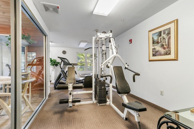 123 Center St Unit 301, Lake Geneva, WI 53147 - exercise room featuring carpet flooring, baseboards, and visible vents