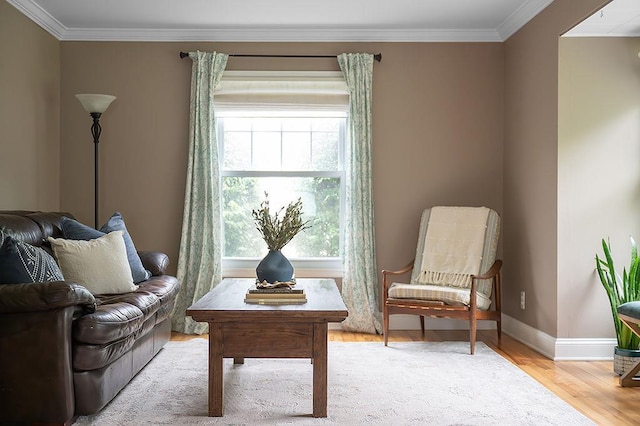 201 N Hillside Ter, Madison, WI 53705 - sitting room featuring ornamental molding, light wood finished floors, and baseboards