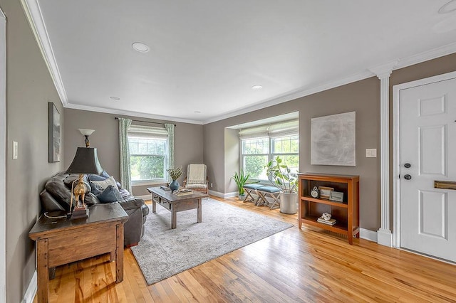 201 N Hillside Ter, Madison, WI 53705 - living area featuring healthy amount of natural light, light wood-style flooring, crown molding, baseboards, and recessed lighting