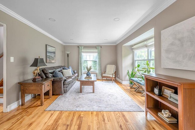 201 N Hillside Ter, Madison, WI 53705 - living room with plenty of natural light, light wood-type flooring, baseboards, and crown molding