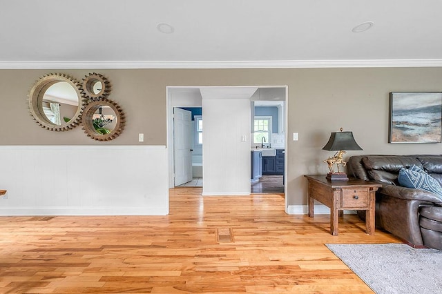 201 N Hillside Ter, Madison, WI 53705 - living area with crown molding, light wood-style flooring, a wainscoted wall, and baseboards