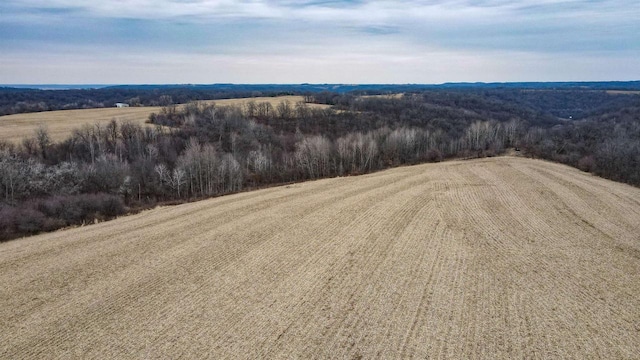 30/-AC Dry Dog Rd, Pulaski, WI 53573