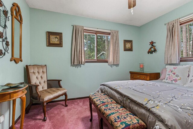 1074 E Queens Way, Nekoosa, WI 54457 - bedroom with baseboards, a ceiling fan, and carpet floors