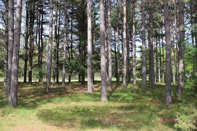 view of nature