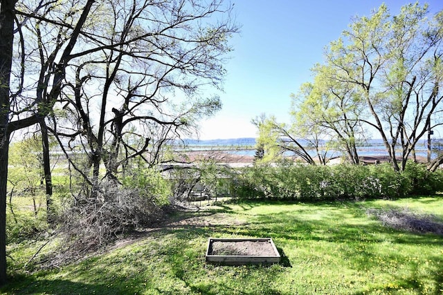 W157 Thomas Rd, Fountain City, WI 54629 - view of grassy yard with a water view