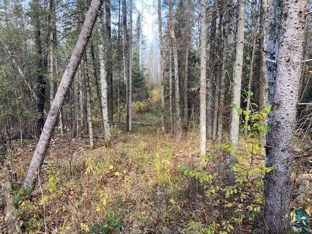 47XY County Highway B, Iron River, WI 54847