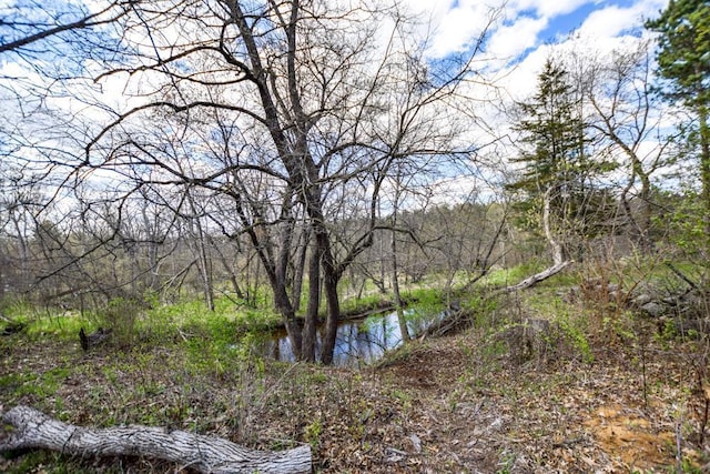 W4144 Fawn Ave, Montello, WI 53949 - water view