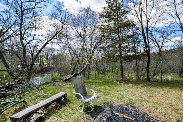 W4144 Fawn Ave, Montello, WI 53949 - view of yard