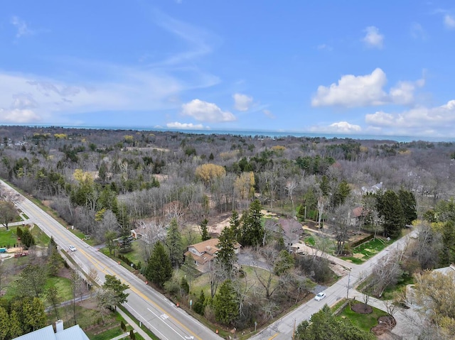 8408 N Lake Dr, Fox Point, WI 53217 - birds eye view of property