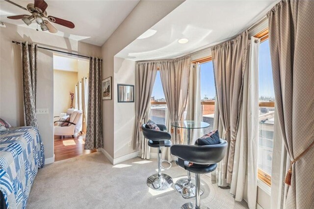 interior space with carpet, baseboards, and a ceiling fan