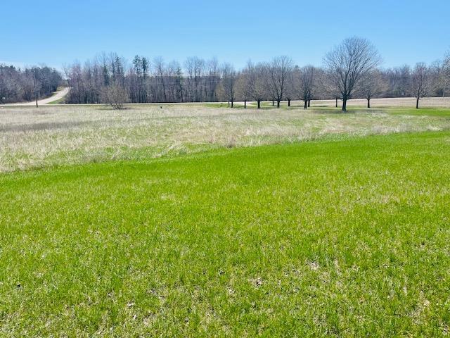W8918 County Rd W, Crivitz, WI 54114 - surrounding community featuring a view of rural / pastoral area