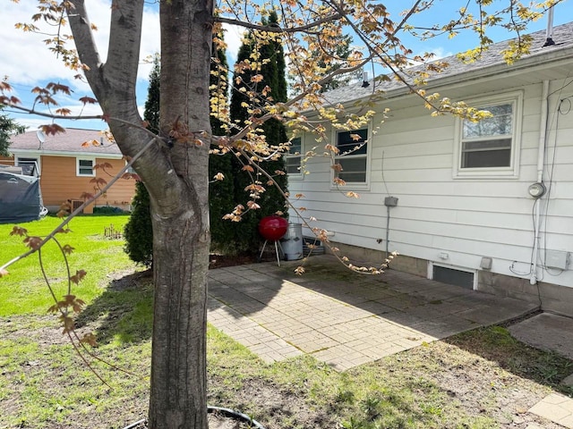 view of yard featuring a patio