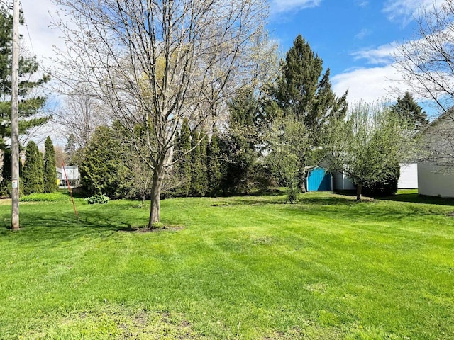 view of yard featuring an outdoor structure and a storage unit