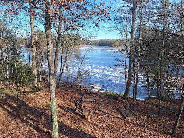 W15560 Mckinley Ln, Athelstane, WI 54104 - property view of water
