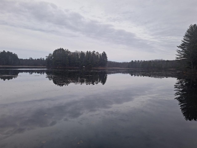 W15560 Mckinley Ln, Athelstane, WI 54104 - water view with a wooded view