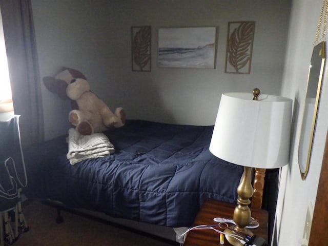 N2646 Rustic Cir, Clintonville, WI 54929 - view of bedroom