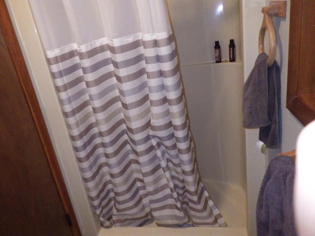 N2646 Rustic Cir, Clintonville, WI 54929 - view of full bath