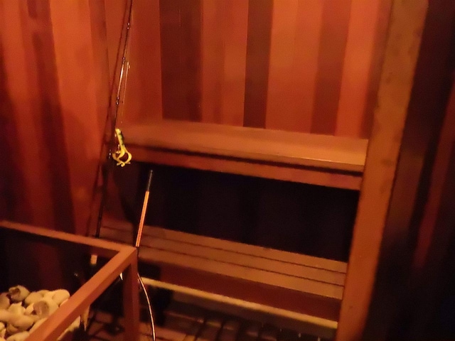 N2646 Rustic Cir, Clintonville, WI 54929 - view of relaxing sauna
